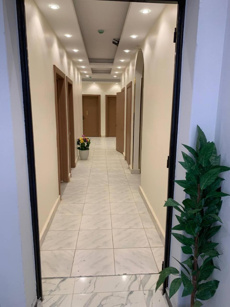 Garden City Hotel 开罗 外观 照片